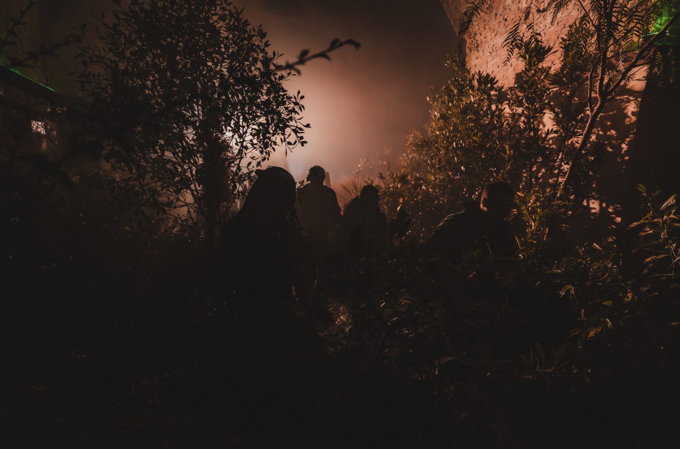 DSC02937 (1): questa immagine non ha ancora un testo alternativo.